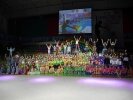 Гимнастрада 2014 (6)